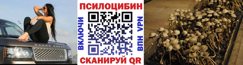 Галлюциногенные грибы прущие грибы Вяземский